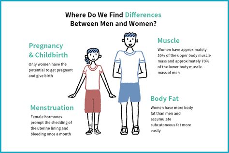 Gender refers to the continuum of complex psychosocial self-perceptions, attitudes, and expectations people have about members of both sexes. . Physical differences between male and female pdf